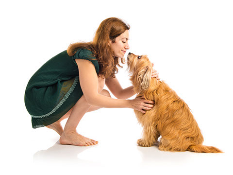 éducation canine - comportementaliste canin à domicile en corse